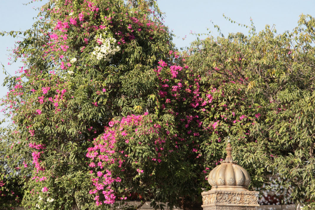 Udaipur