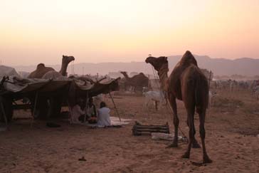 Pushkar