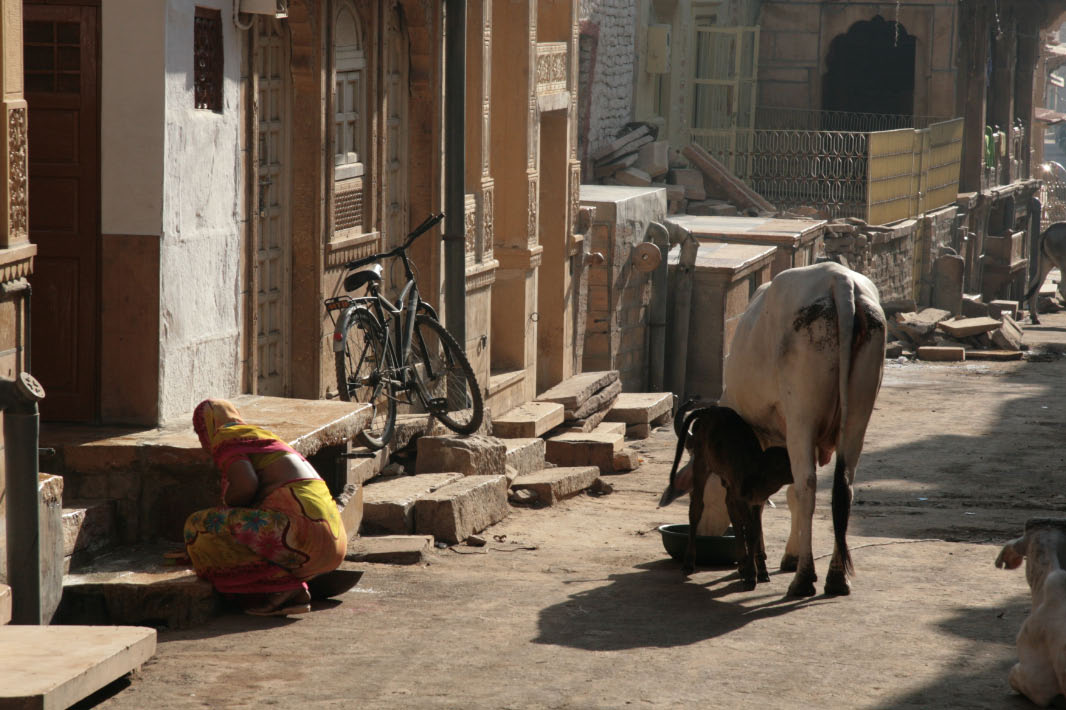 Jaisalmer